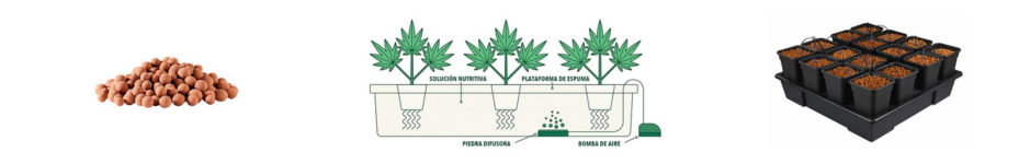 sistemas-de-cultivo