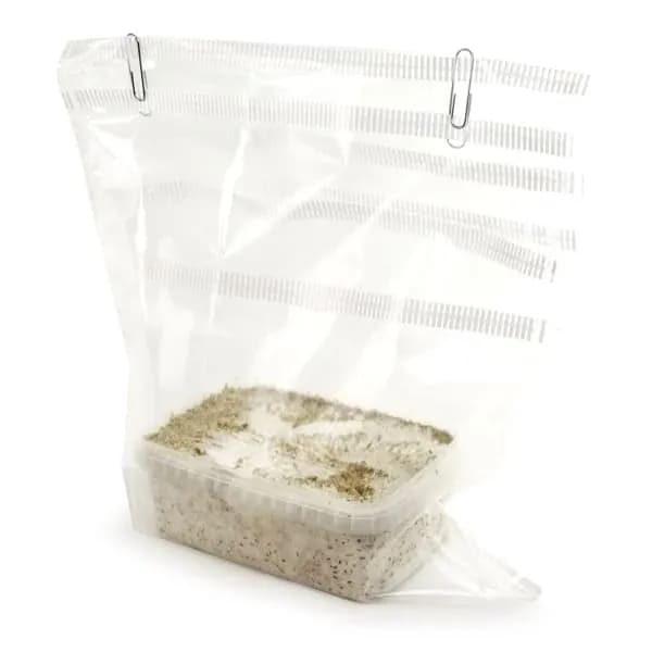 Bolsa de cultivo setas en vertical