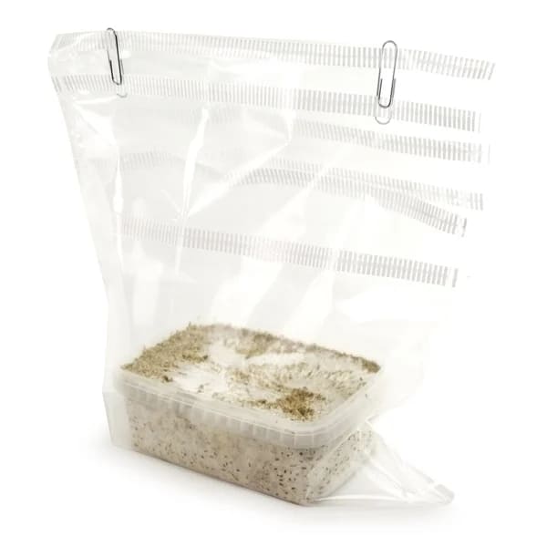 Pan de Setas Bolsa Vertical