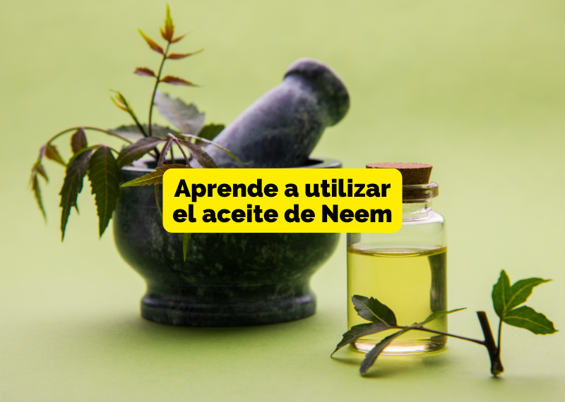 Usos aceite de neem