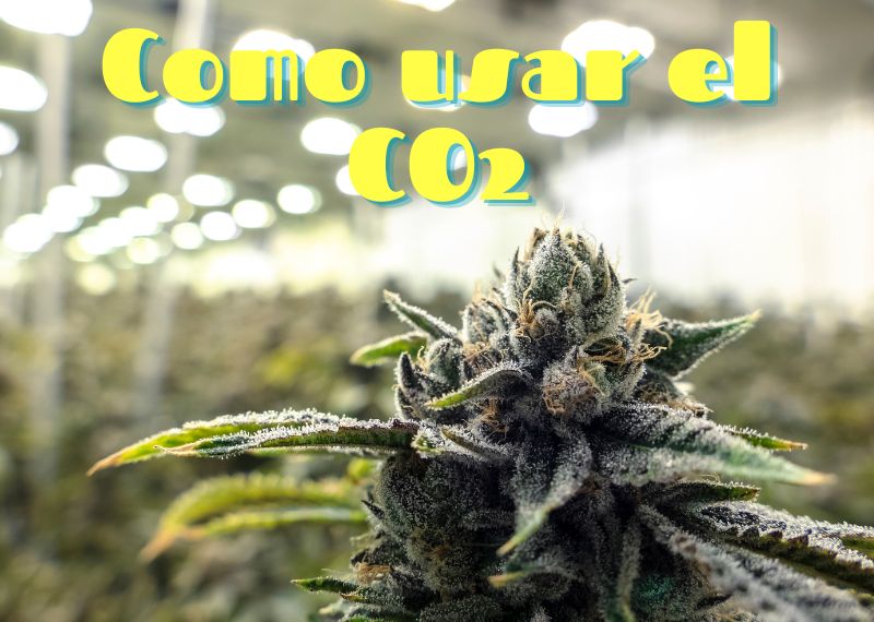 Uso del CO2 en cultivo indoor