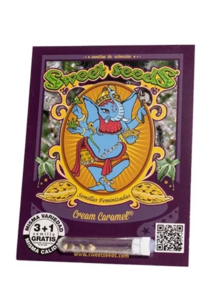 Cream Caramel Pack